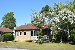 chalet forêt bois camping orée du bois