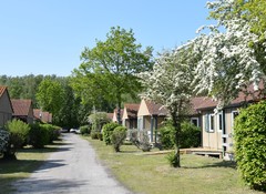 chalet forêt camping orée du bois