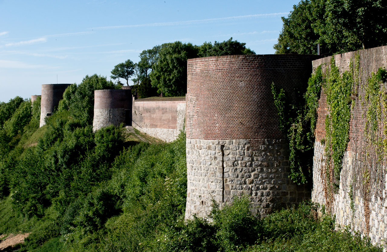 Image de la spécialité