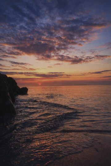 Image de la spécialité